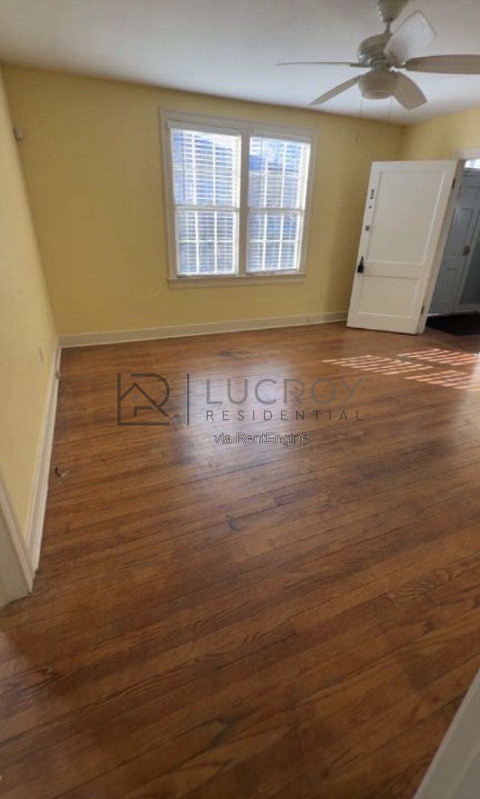 2/1 apartment in Belhaven. Beautiful hardwoods, tile kitchen floors, W/D and water included! property image