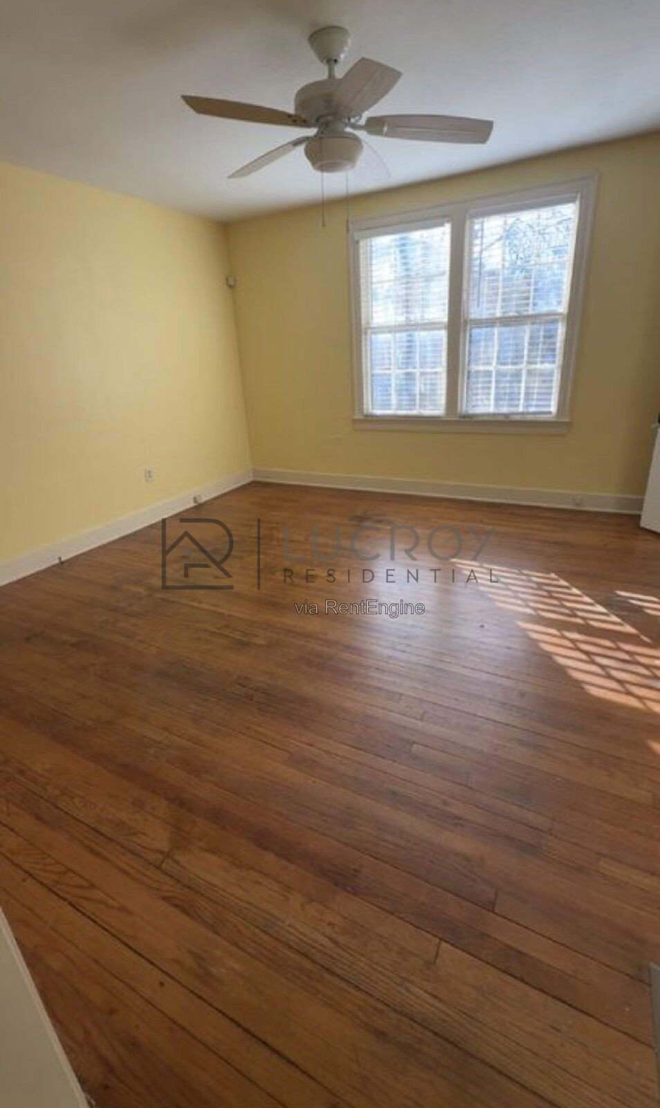 2/1 apartment in Belhaven. Beautiful hardwoods, tile kitchen floors, W/D and water included! property image